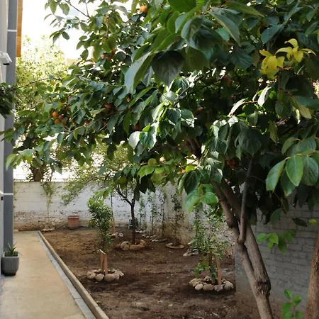 Albergue H Tirana